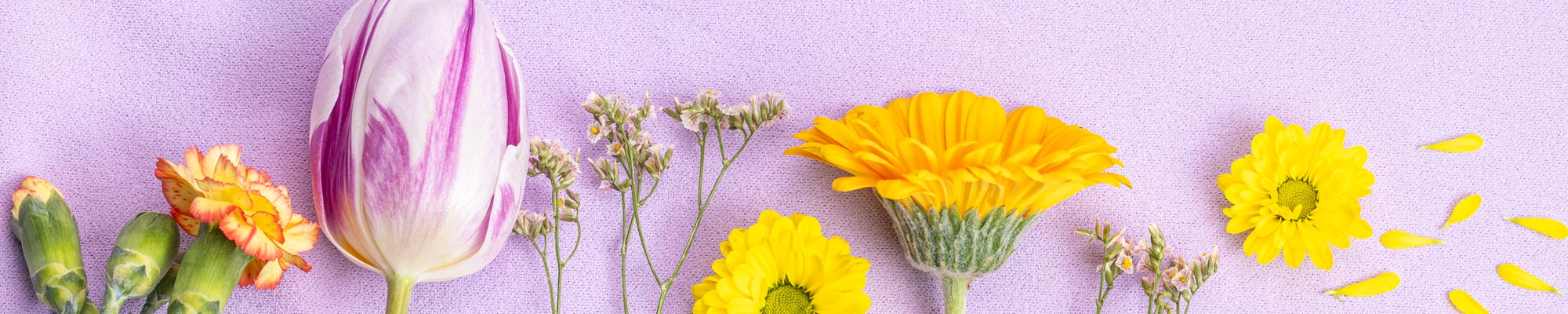 Pastel kleuren