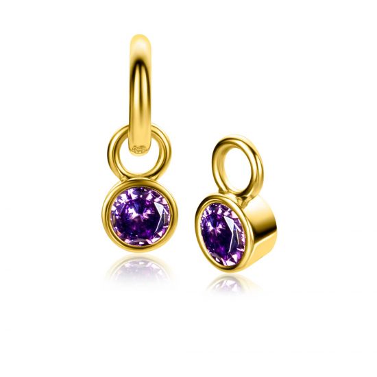 FEBRUARI oorbedels gold plated met geboortesteen paars amethist zirconia (excl. oorringen)

