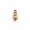 ZINZI zilveren ronde hanger rosé verguld champagne ZIH1112C 