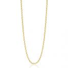 ZINZI Gold 14 krt gouden jasseron ketting 2,2mm breed 43-45cm ZGC441

