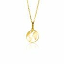 15mm ZINZI Gold 14 krt gouden hanger met wereldkaart ZGH474 (zonder collier)
