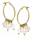 ZINZI zilveren oorringen 14K geel verguld 25mm witte parels ZIO2187G