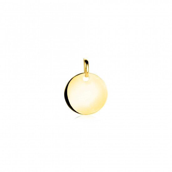 12mm ZINZI Gold 14 krt gouden hanger met trendy glanzend rond plaatje van 12mm ZGH397-12 (zonder collier)
