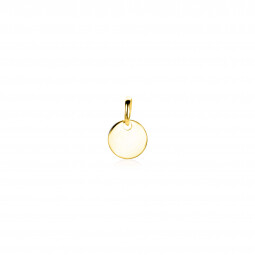 8mm ZINZI Gold 14 krt gouden hanger met trendy glanzend rond plaatje van 8mm ZGH397-8