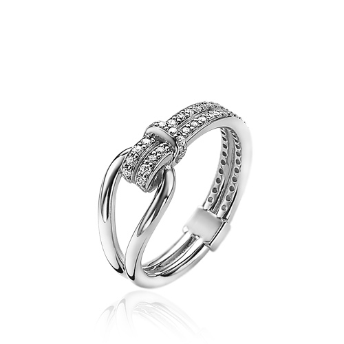 Ringen Mart Visser ringen